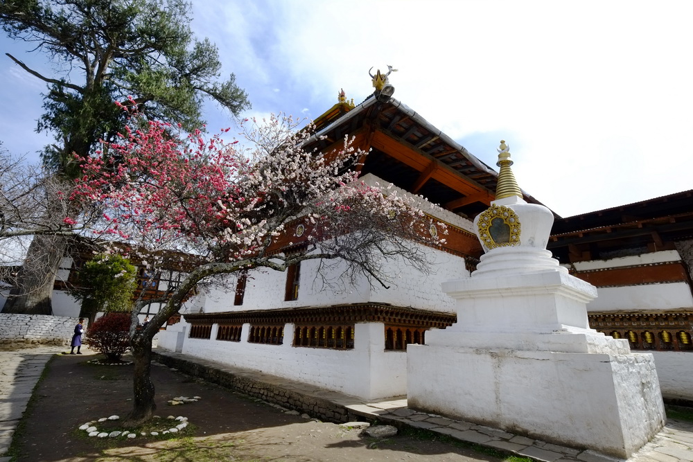 วัดคิชู ลาคัง (Kyichu Lhakhang)